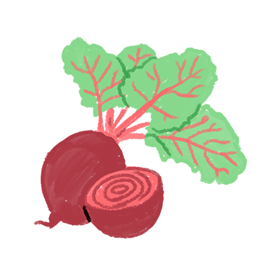 Organic Beet Root Extract