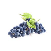 Organic Grape Flavor