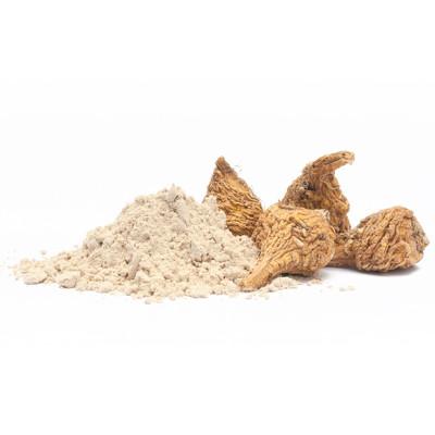 Wyethia Helenoides - From the Gray Mule’s Ears Root